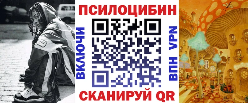 omg как зайти  Бронницы  Галлюциногенные грибы мицелий 